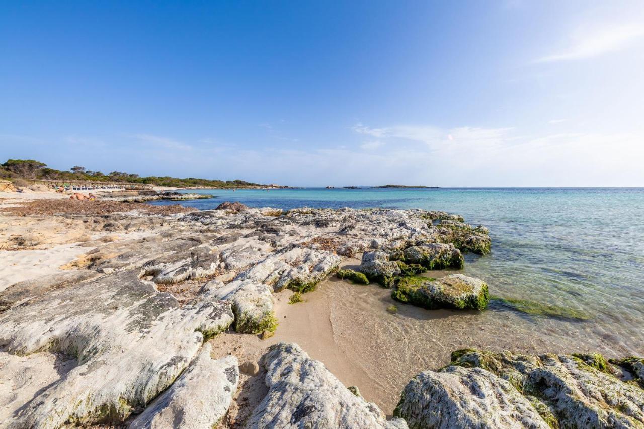 Ses Salines Cottage With Private Pool And Barbecue Exteriör bild